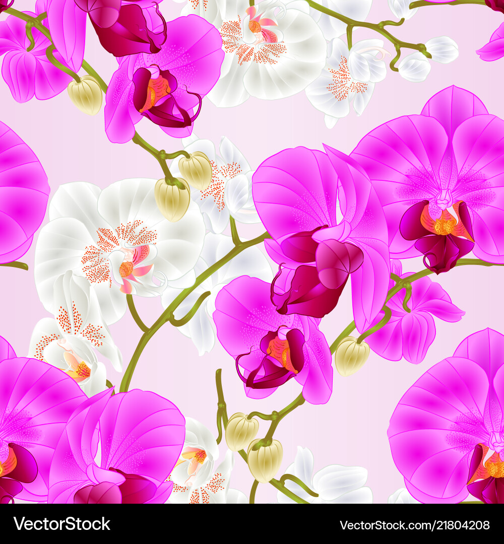 Orchid Stem Texture - Purple & White Vector Image