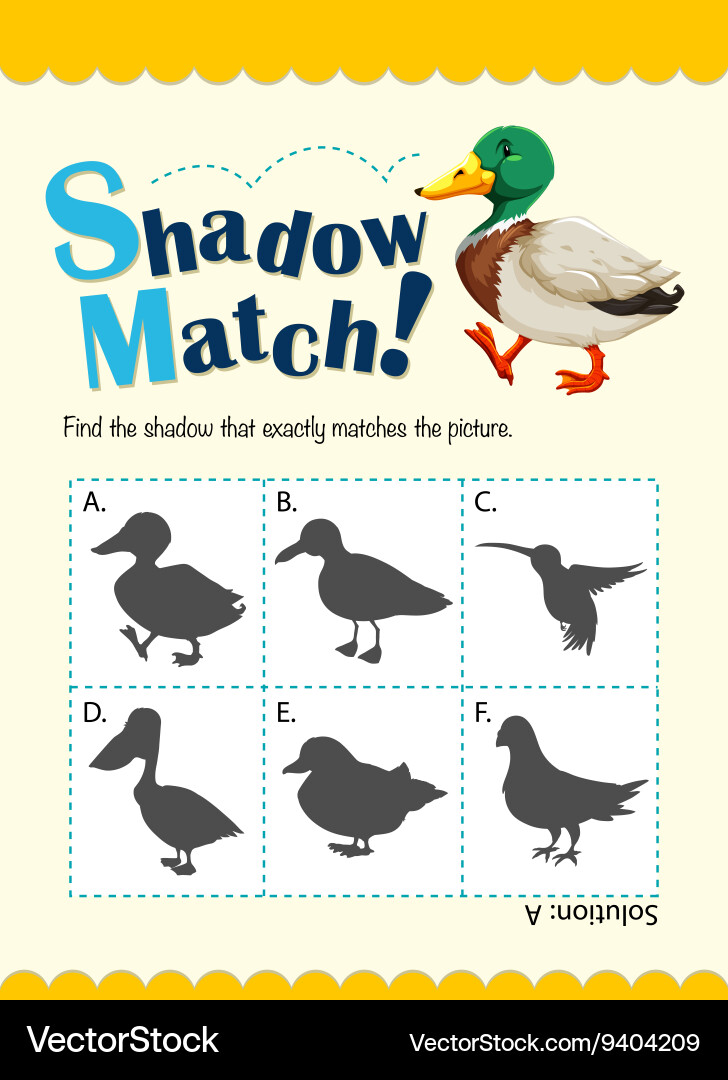 Game template for shadow matching duck vector image