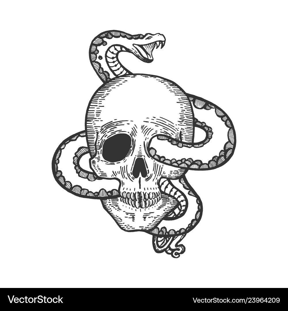 Skull with Snake - Scratchboard Style vector image