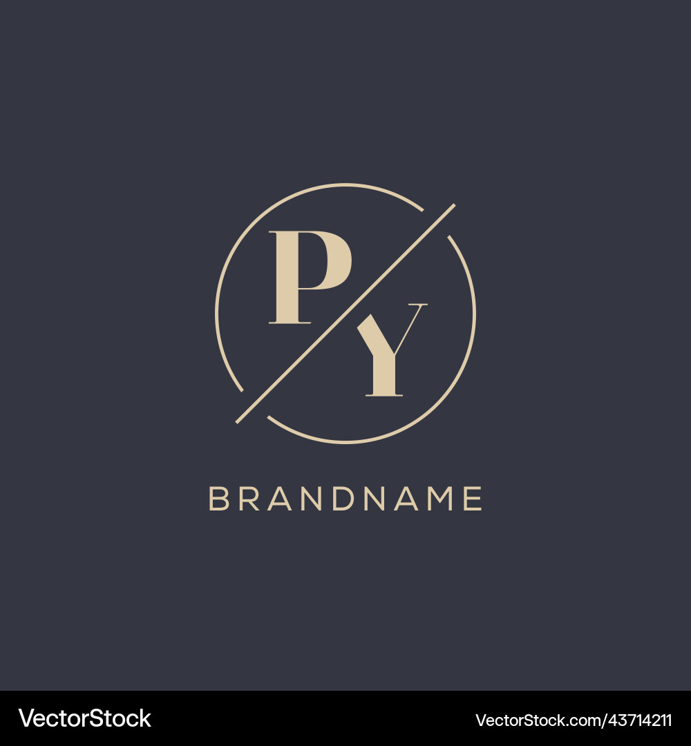 Initial letter py logo with simple circle line Initial letter py logo with simple circle line Vector Image