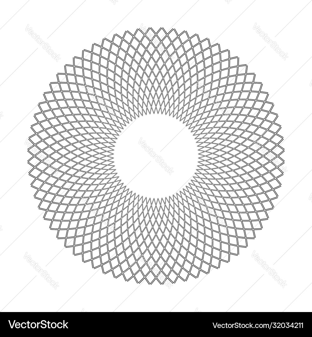 Intricate Circle Pattern vector image