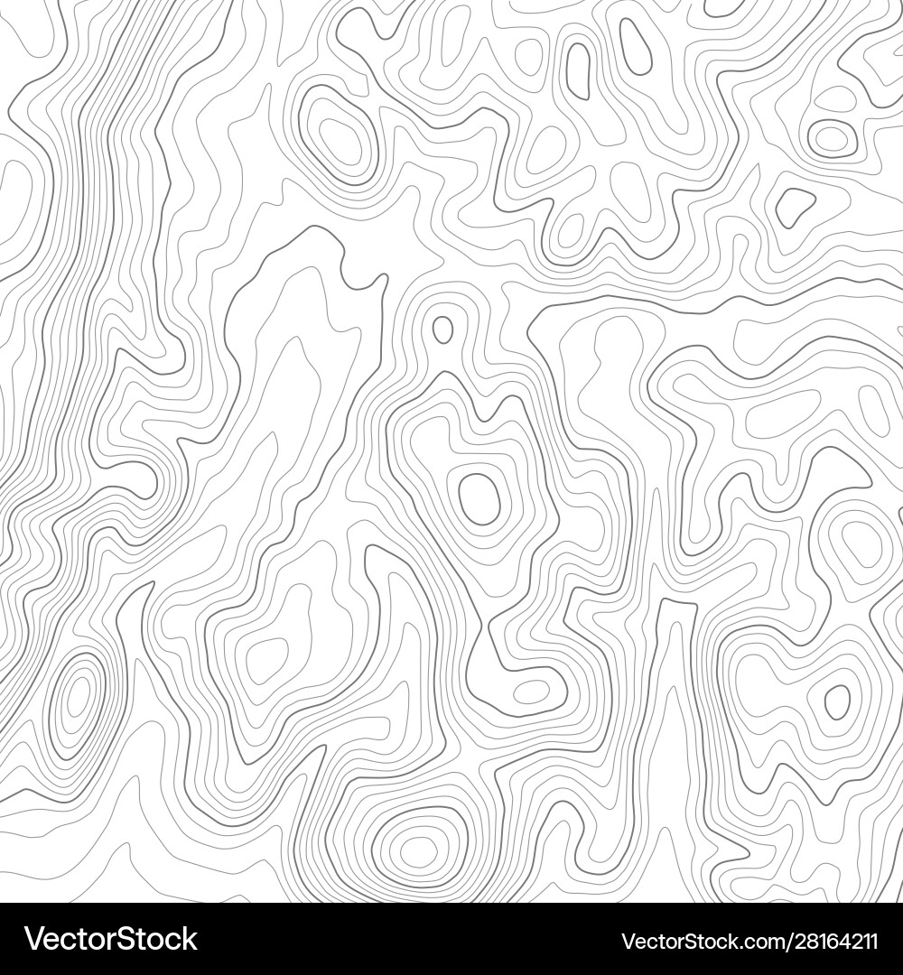 Topographic map seamless pattern background Vector Image