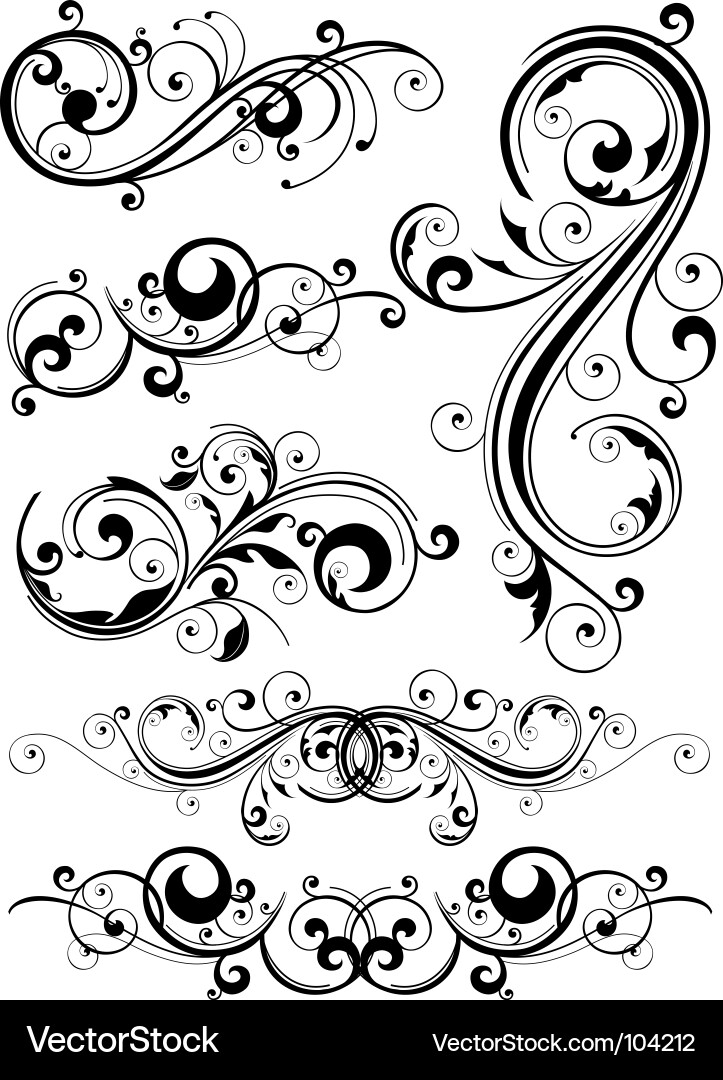 Ornate Swirls & Curves vector image