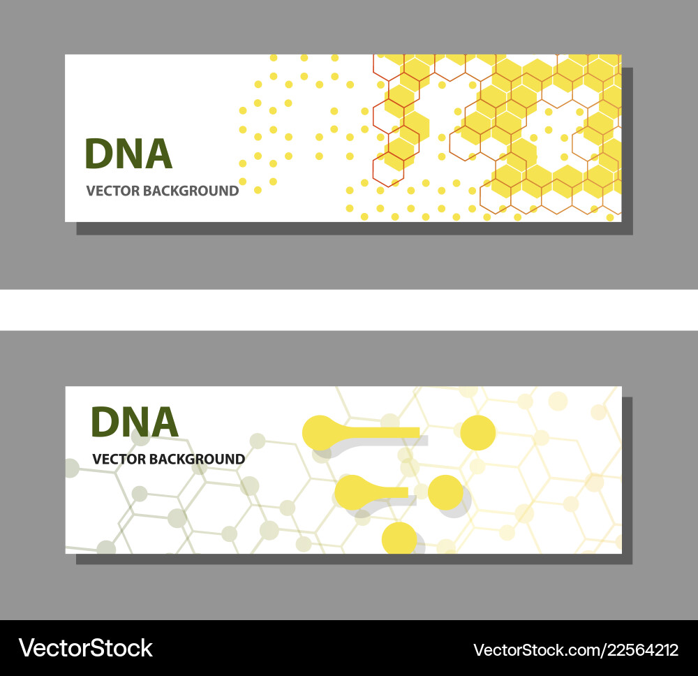 Set of 9 templates for presentation slides vector image