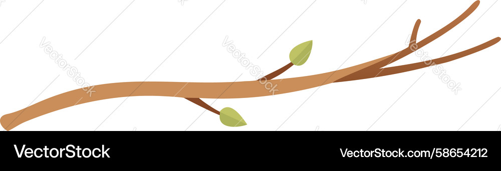 Sprouting tree branch for natures cycle design Vector Image