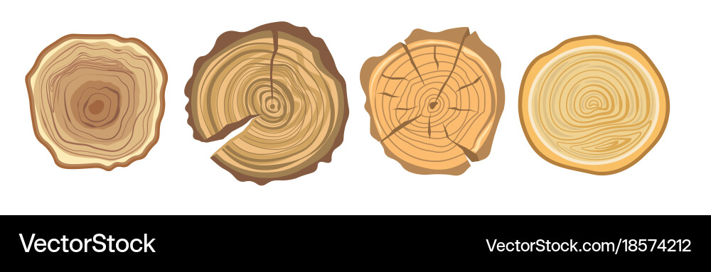 Tree Ring Year Cycle Icons Vector Image