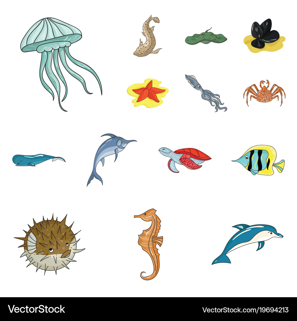 A variety of marine animals cartoon icons in set Vector Image