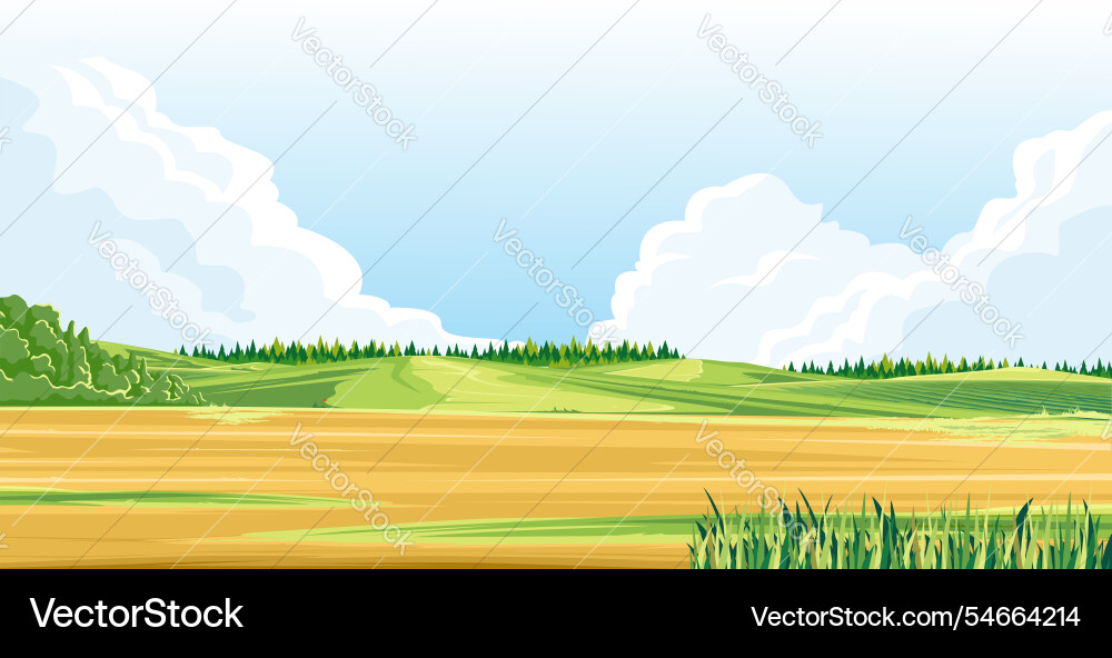 A view of empty land with grass Vector Image