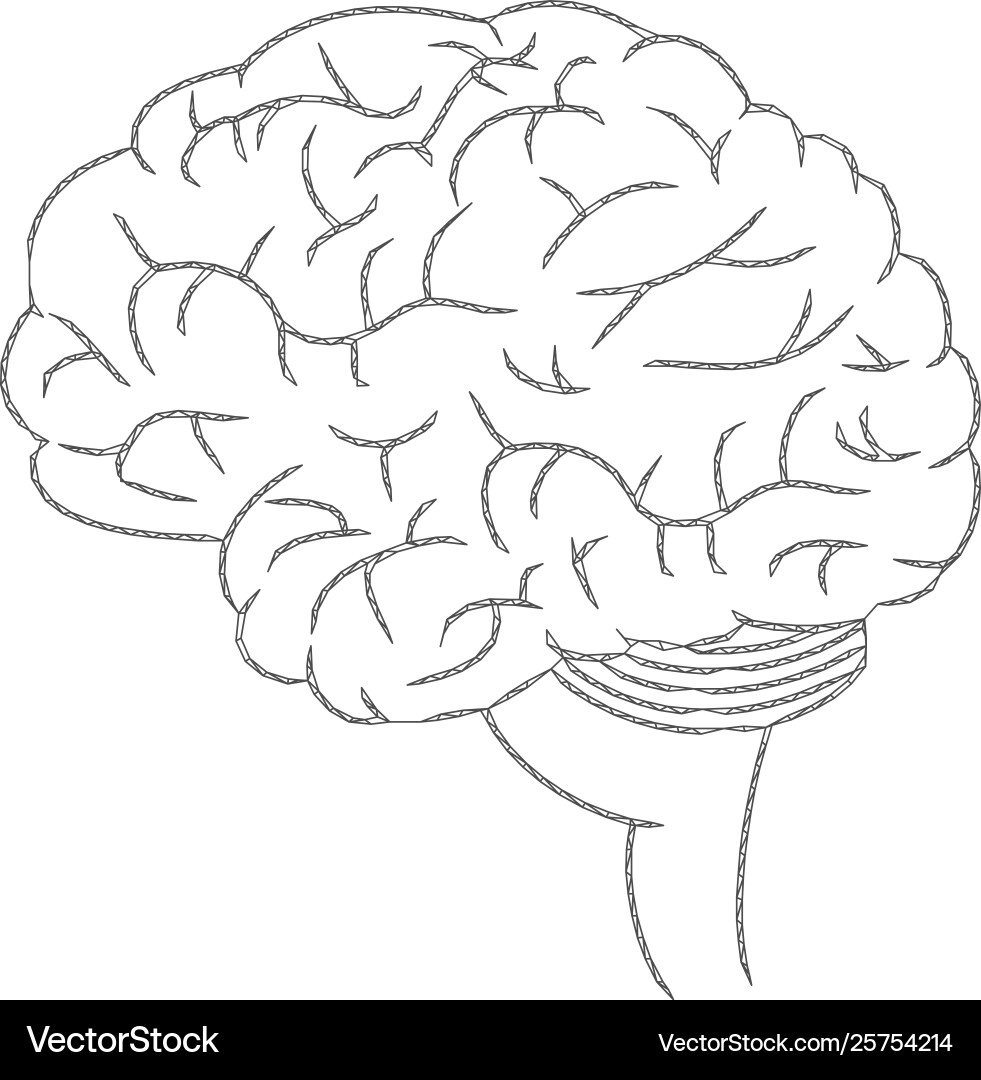 Brain polygonal frame mesh Brain polygonal frame mesh vector image