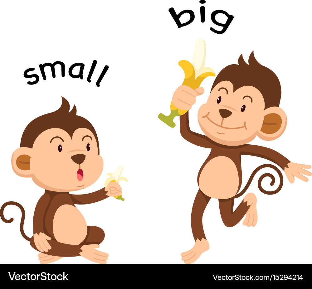 Opposite words small and big Royalty Free Vector Image