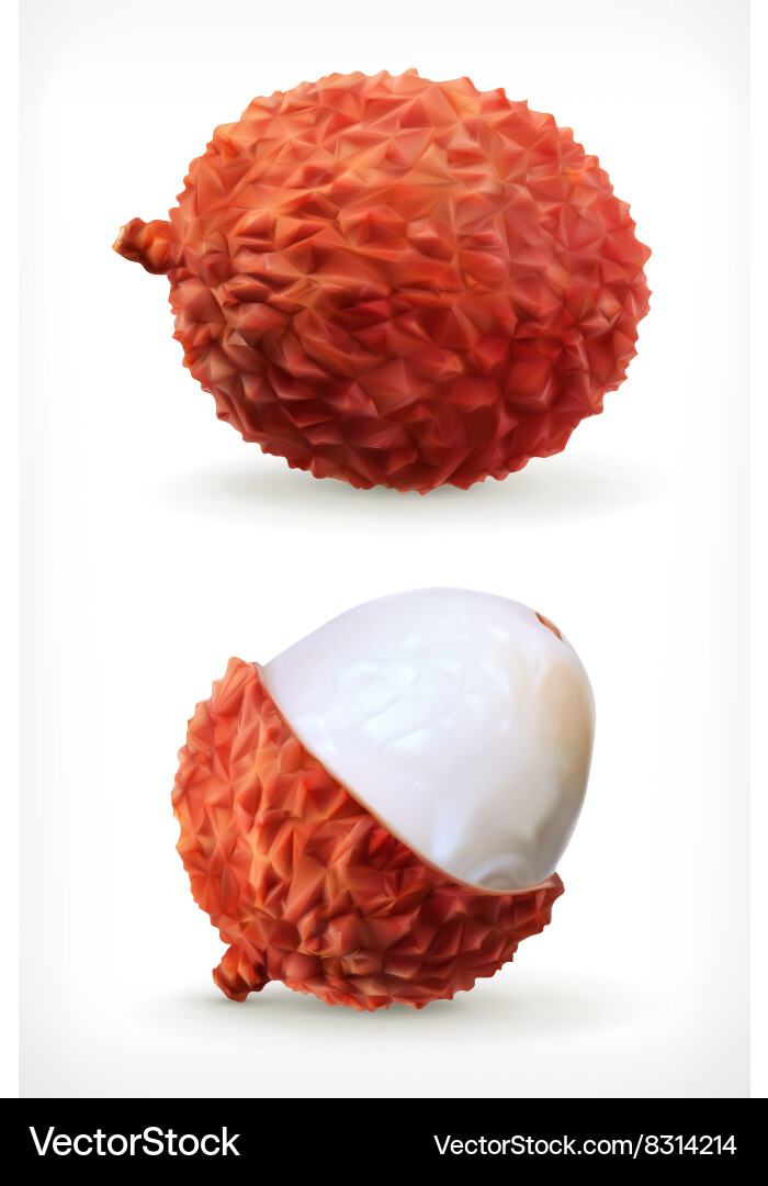Ripe Lychee Fruit Icon Royalty Free Vector Image