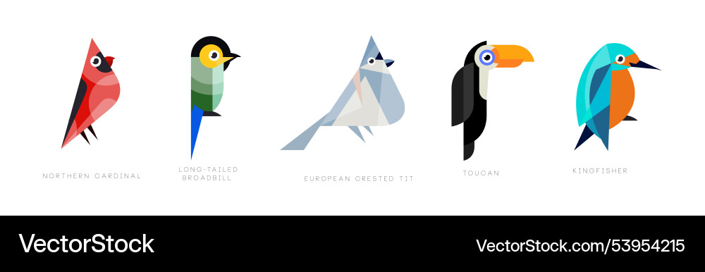 Different bird flat icon with name set Vector Image