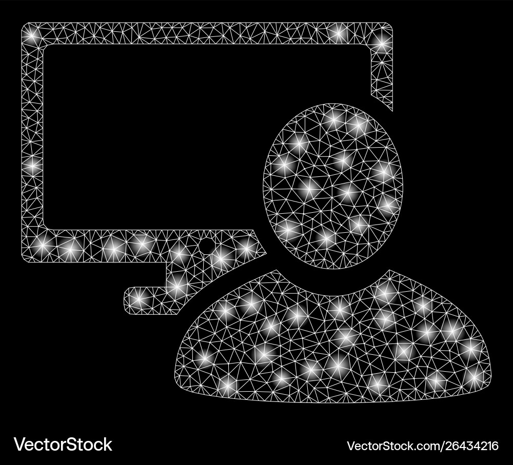 Flare mesh carcass computer user with spots Flare mesh carcass computer user with spots vector image