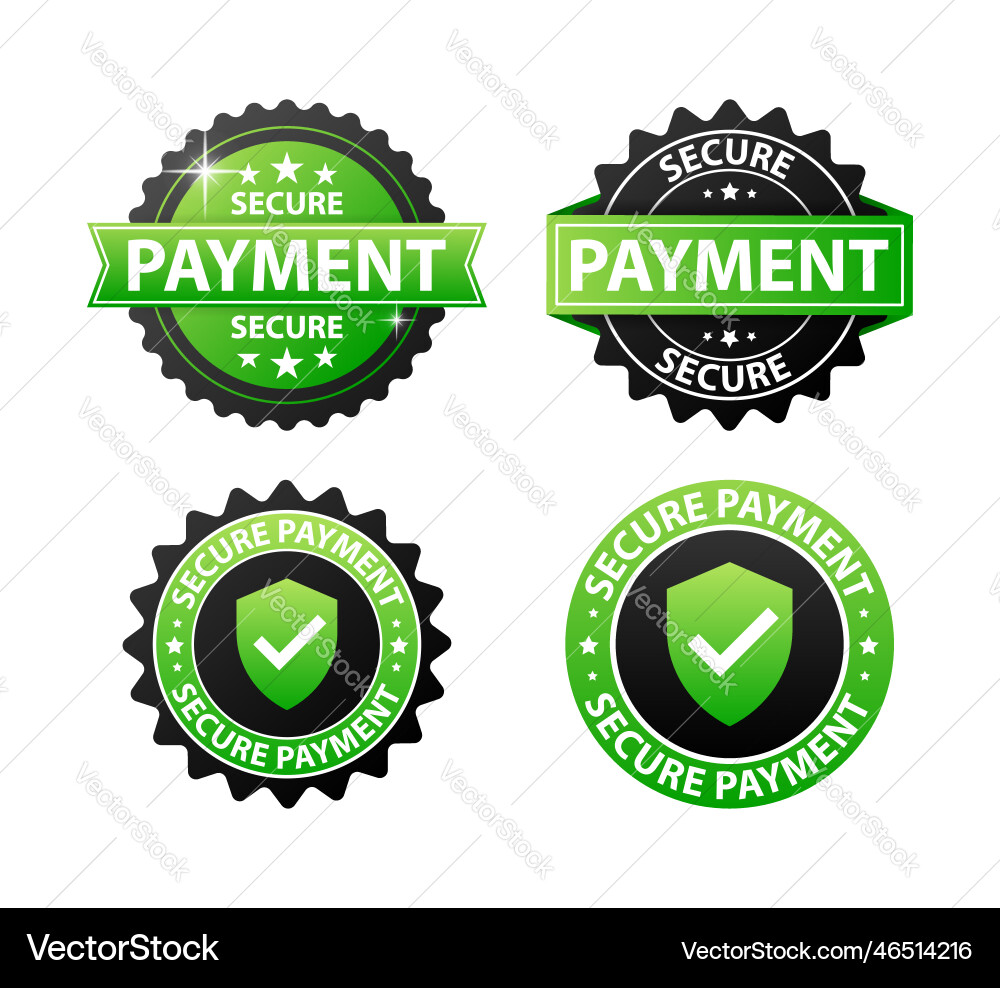 Secure payment label maximum security Secure payment label maximum security vector image
