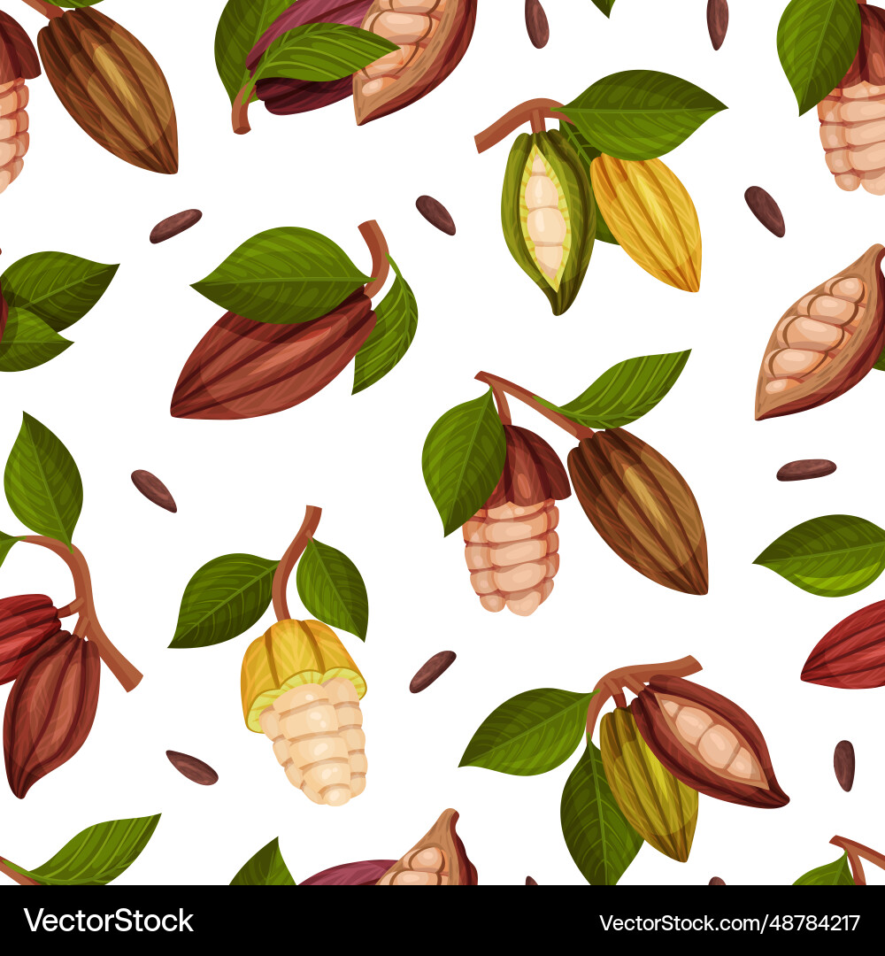 Cocoa bean seamless pattern design with brown pod Cocoa bean seamless pattern design with brown pod vector image