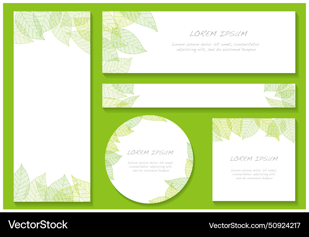 Greeting card set with leaf vein patterns vector image