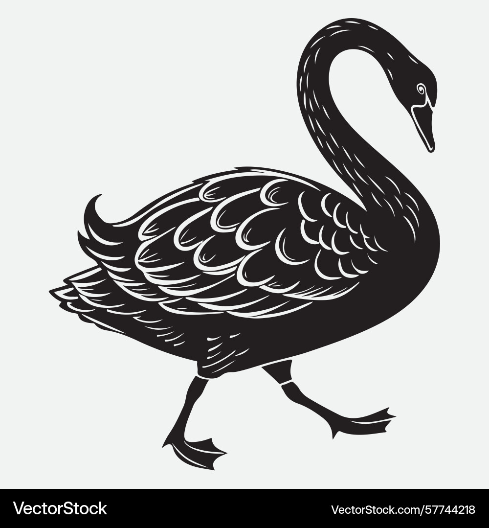Swan line art Vector Image