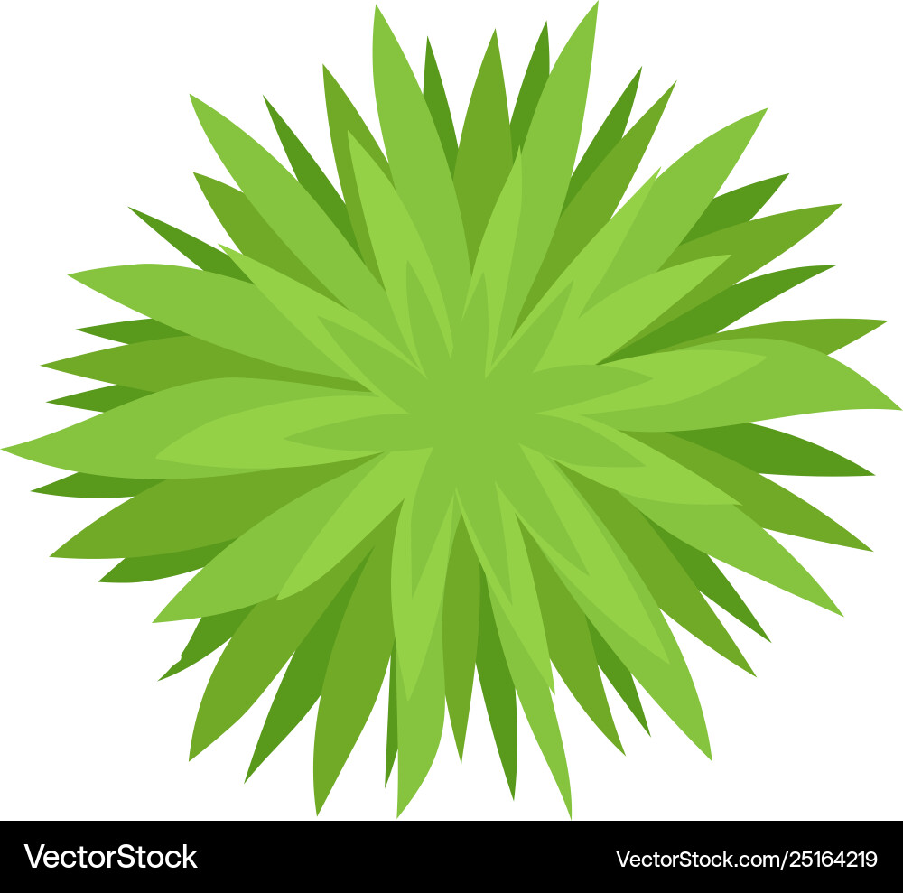 Bush with sharp leaves view from above Bush with sharp leaves view from above vector image
