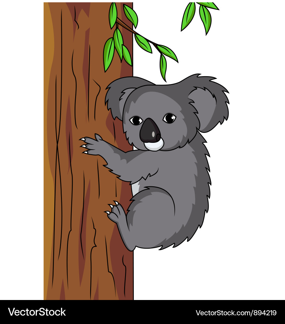 Cute koala Royalty Free Vector Image - VectorStock
