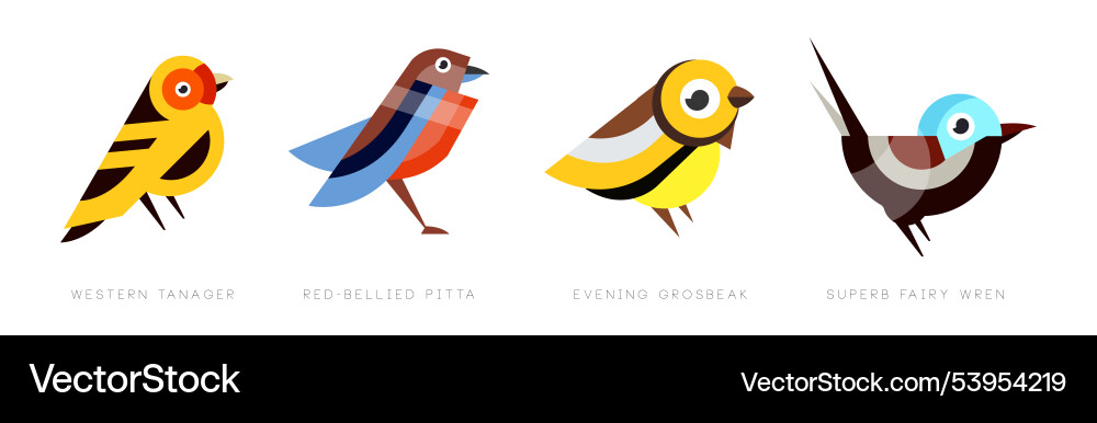 Different bird flat icon with name set Different bird flat icon with name set vector image