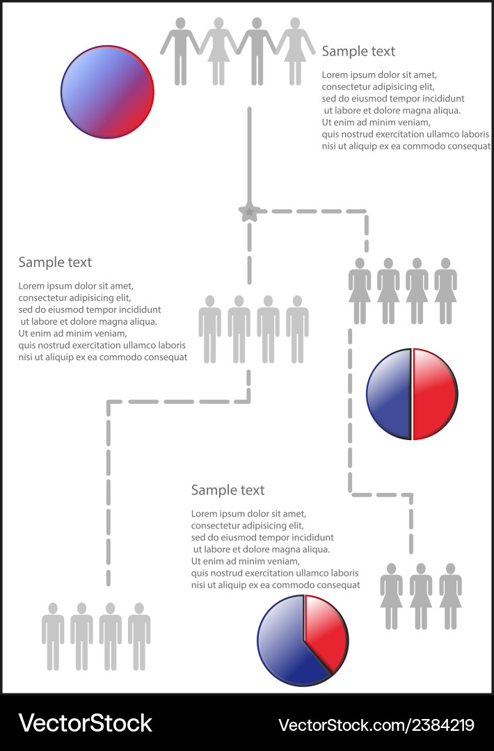 Infographic with gender issue and graphs vector image