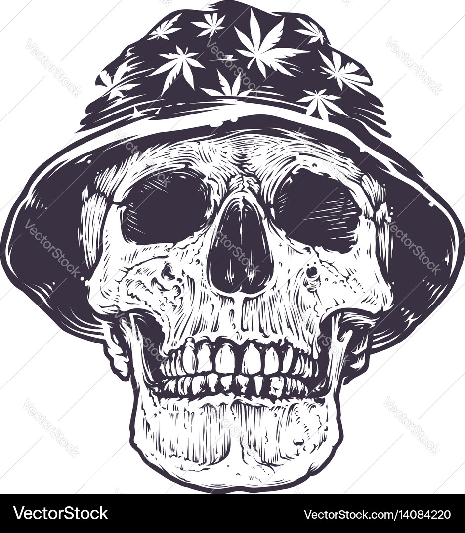 Rasta Skull with Cannabis vector image