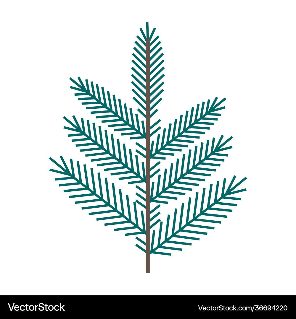 Simple minimalistic green branch a spruce Simple minimalistic green branch a spruce Vector Image
