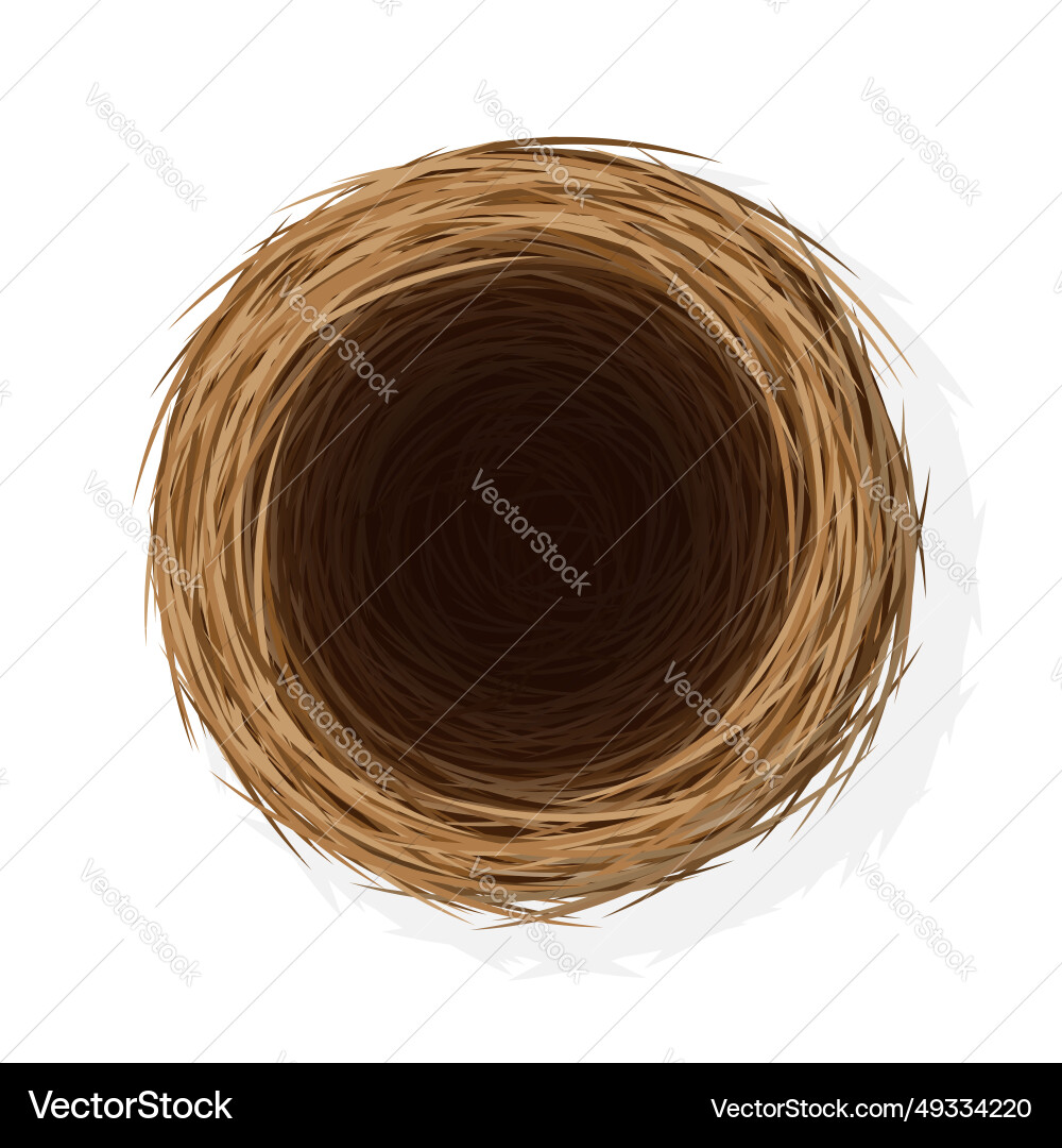 Straw and Twig Bird Nest - Top View vector image