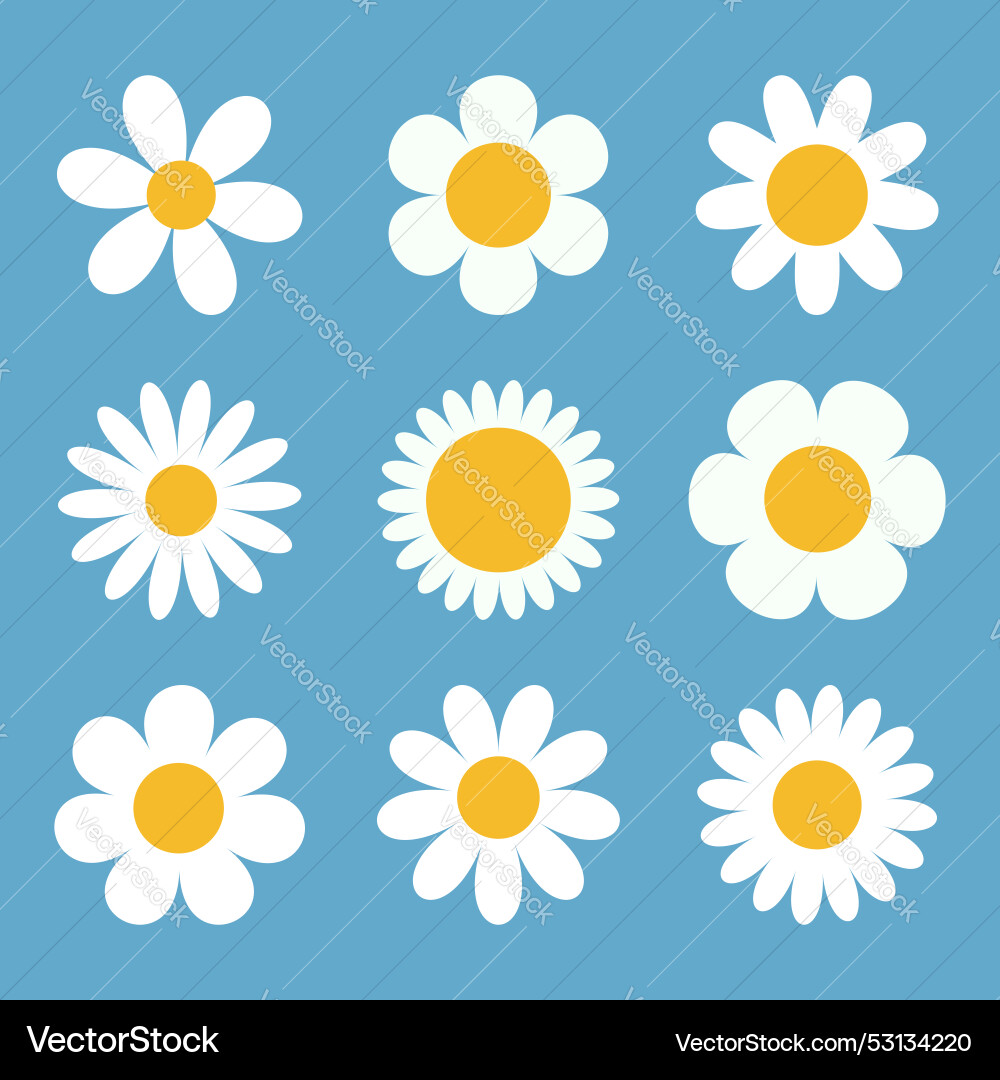 White chamomile icon daisy camomile set cute White chamomile icon daisy camomile set cute vector image