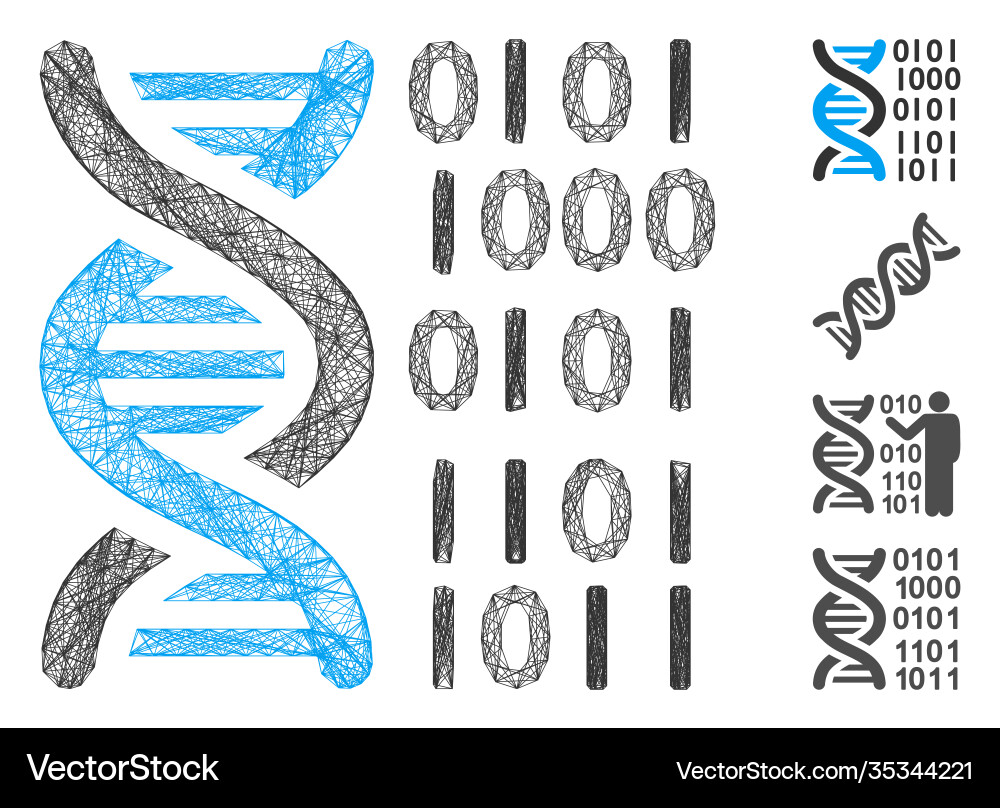 Linear dna binary code mesh Linear dna binary code mesh vector image
