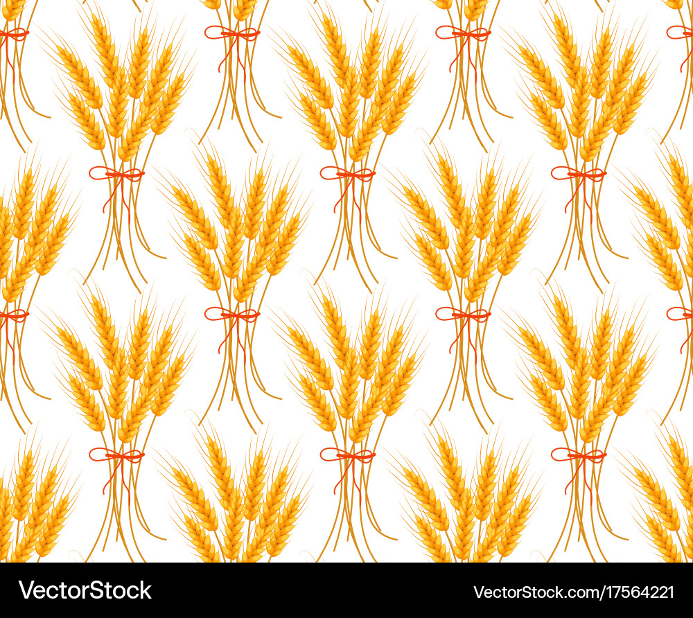 Wheat seamless pattern spikelets repeating Vector Image