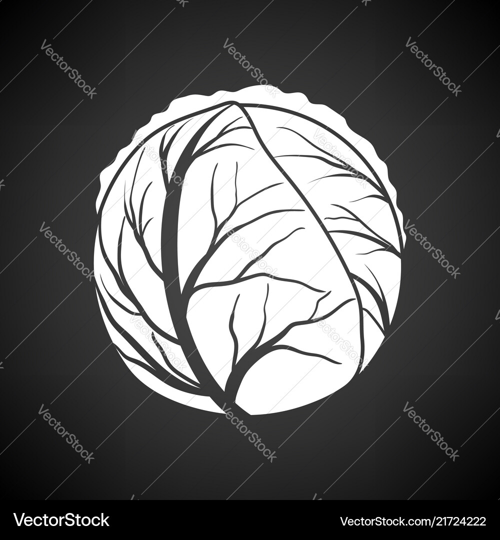 Cabbage icon Royalty Free Vector Image - VectorStock