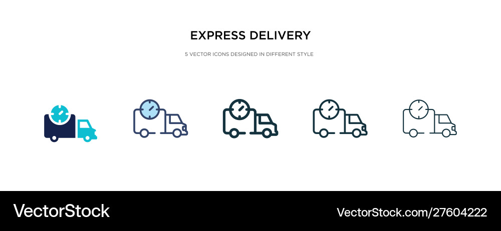 Express delivery icon in different style two Express delivery icon in different style two vector image