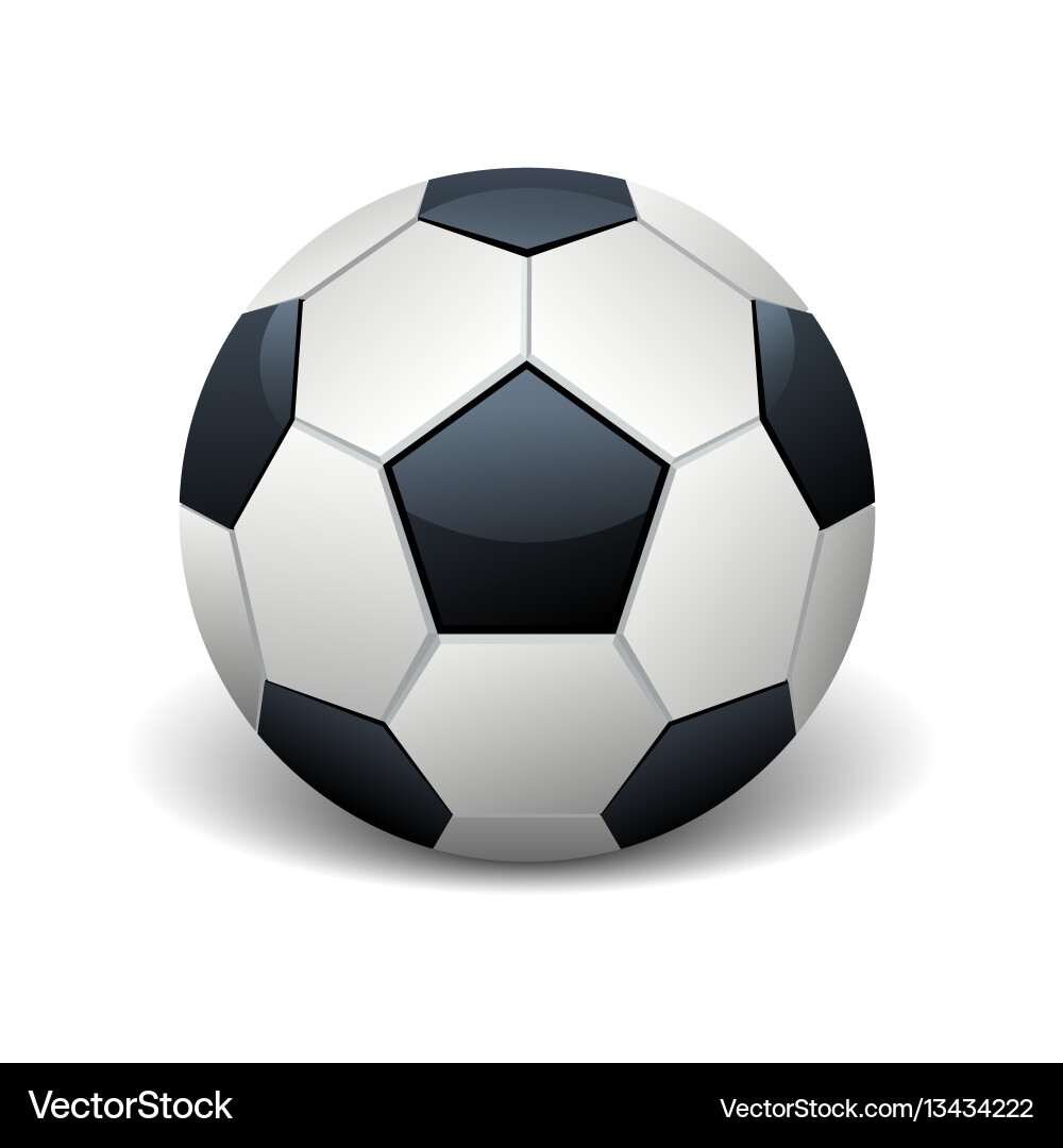 Realistic Soccer Ball vector image
