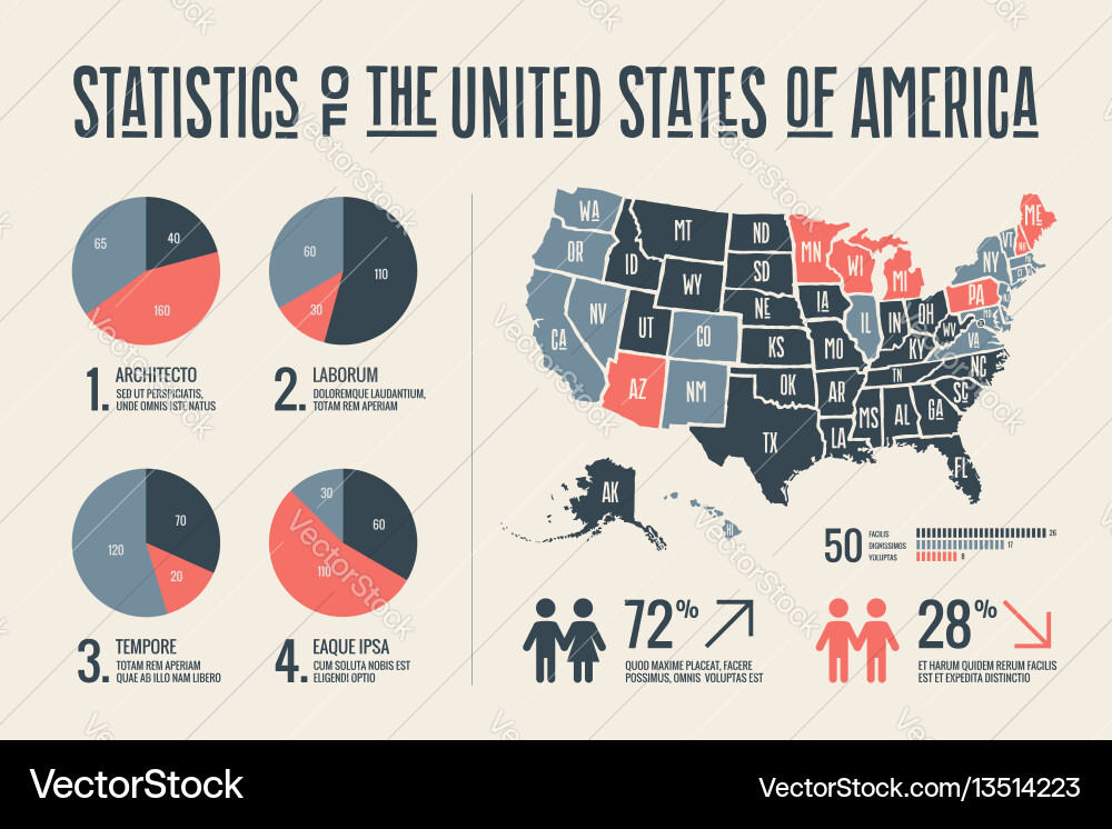 Poster map usa with infographics elements Vector Image