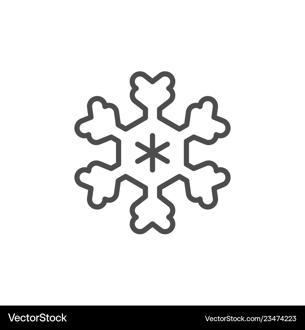 Snowflake line icon vector image