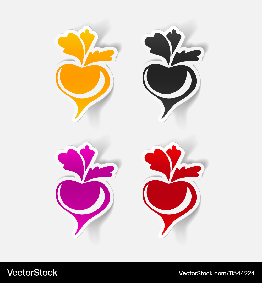 Realistic design element beet Vector Image