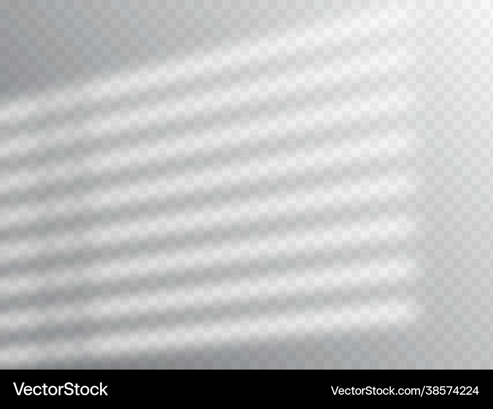 Shadow overlay effect soft light and shadows from Shadow overlay effect soft light and shadows from vector image