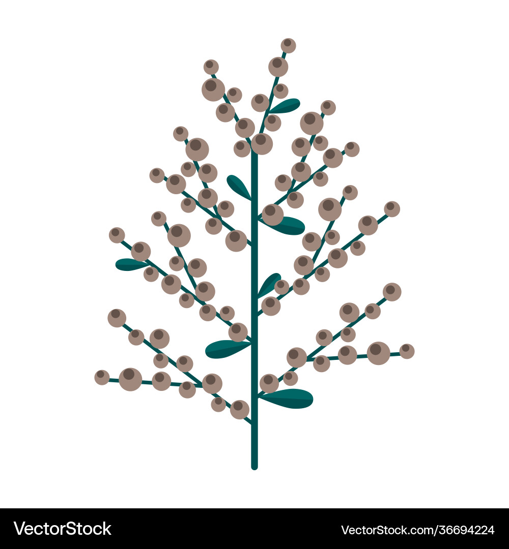 Simple minimalistic green branch pemphigus Vector Image