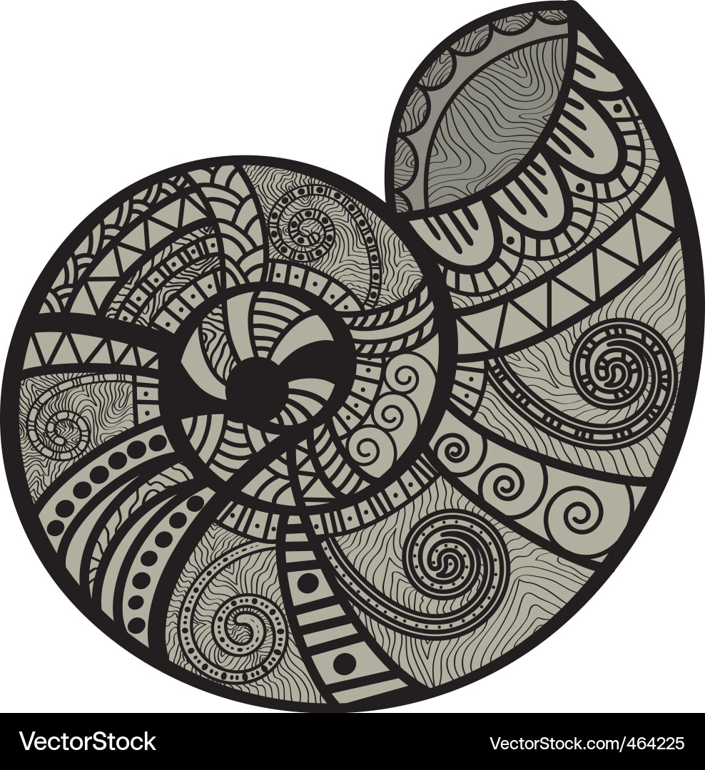 Intricate Spiral Shell Vector Image