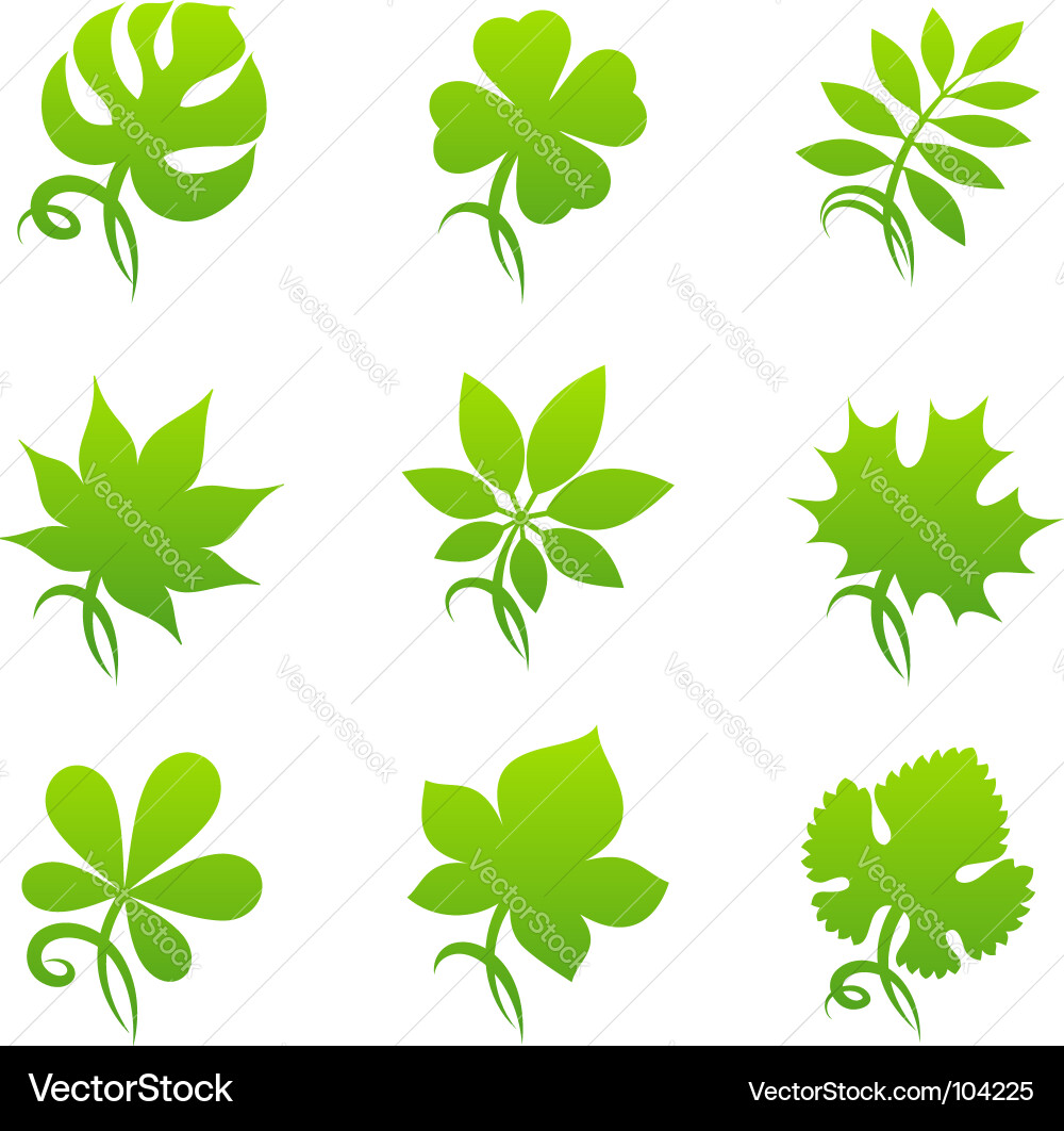 Leaf Elements Collection Vector Image