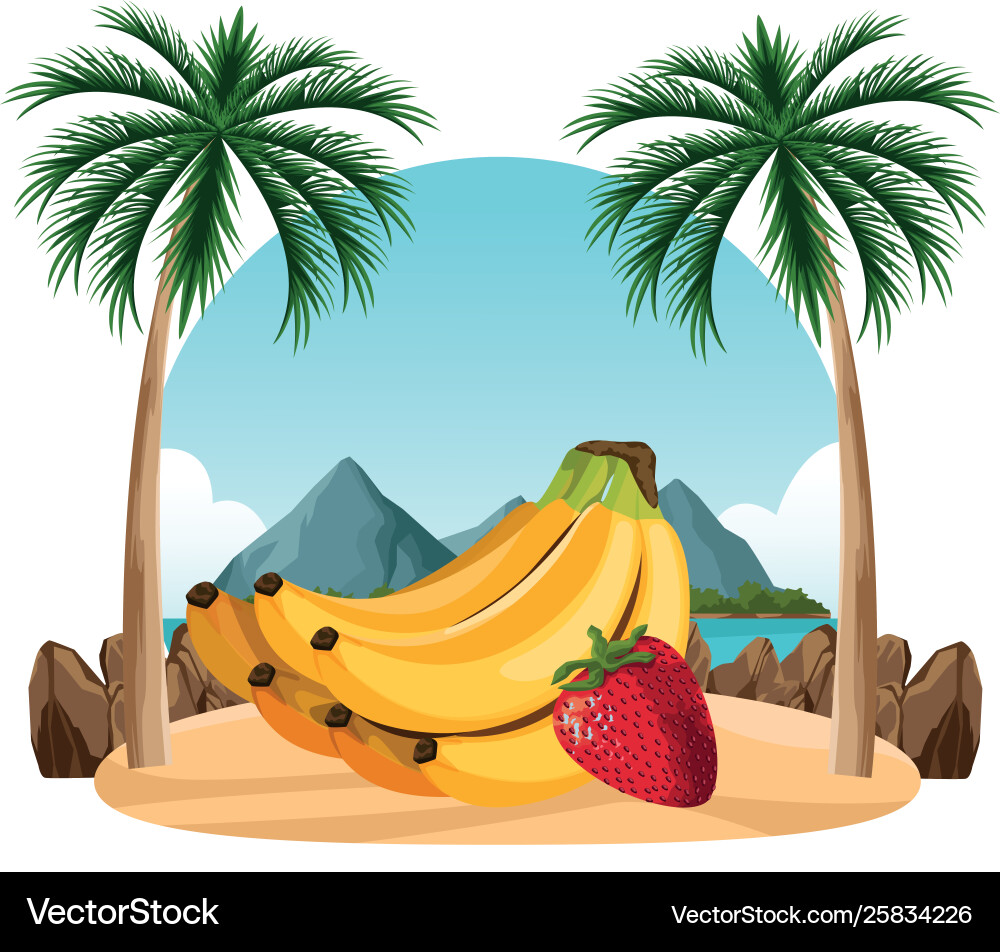 Exotische tropische Früchte Ikone Cartoon Exotische tropische Früchte Ikone Cartoon vektorbild