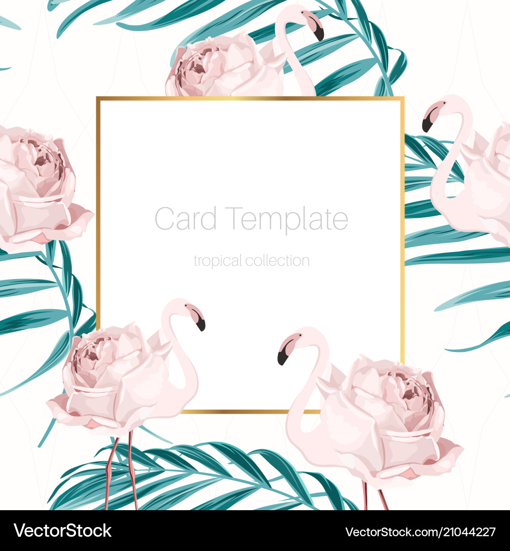 Card template flamingo birds rose flowers greenery vector image