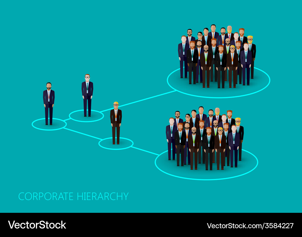 Flat of a corporate hierarchy structure crowd vector image