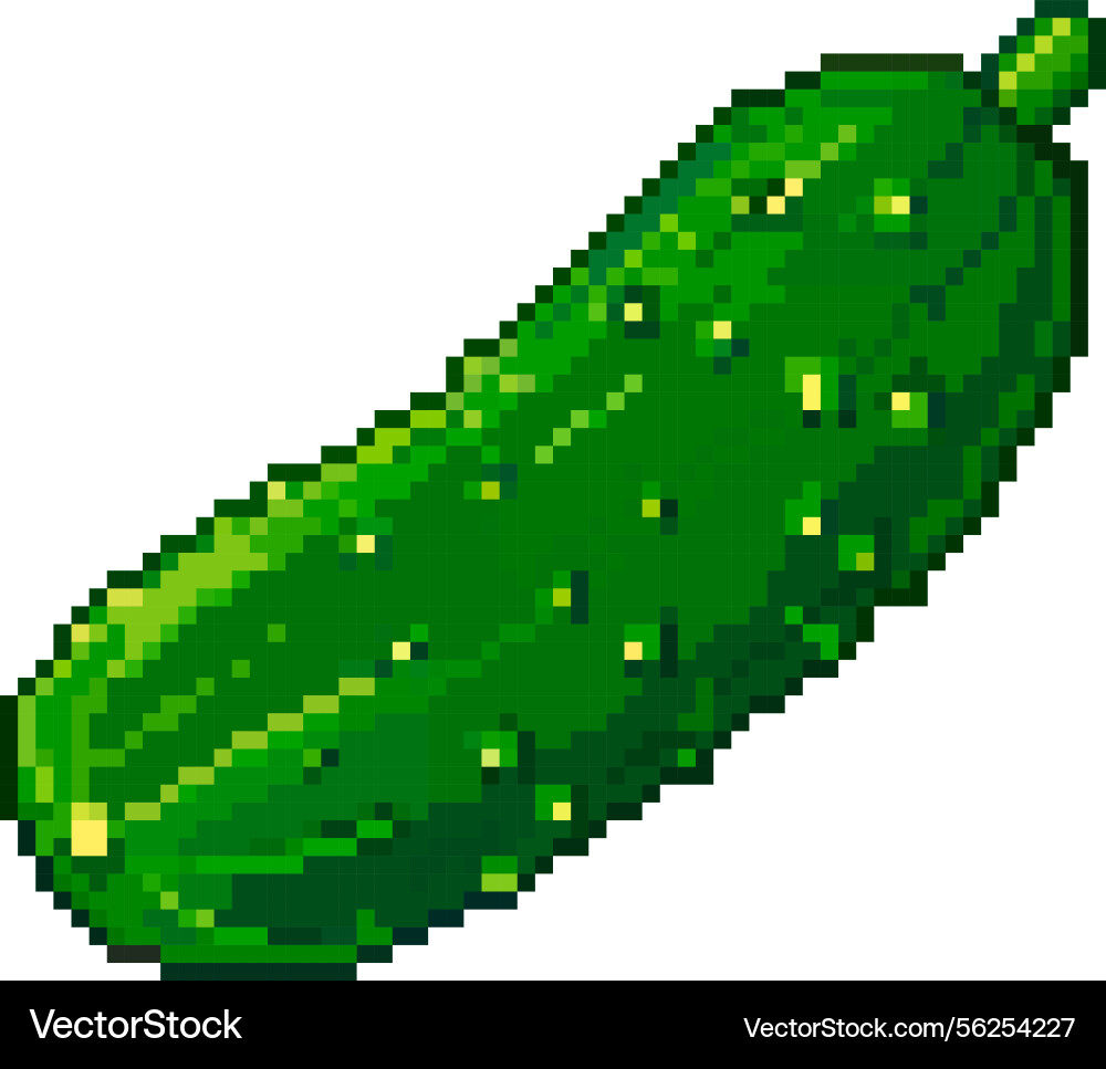 Image showcases a pixelated cucumber Vector Image