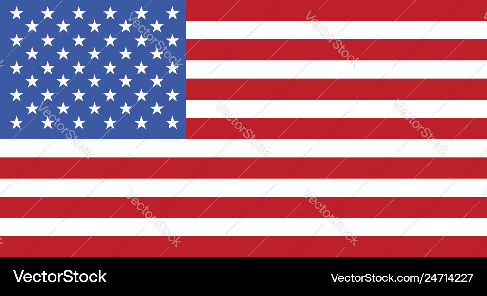 United States Flag Vector Image