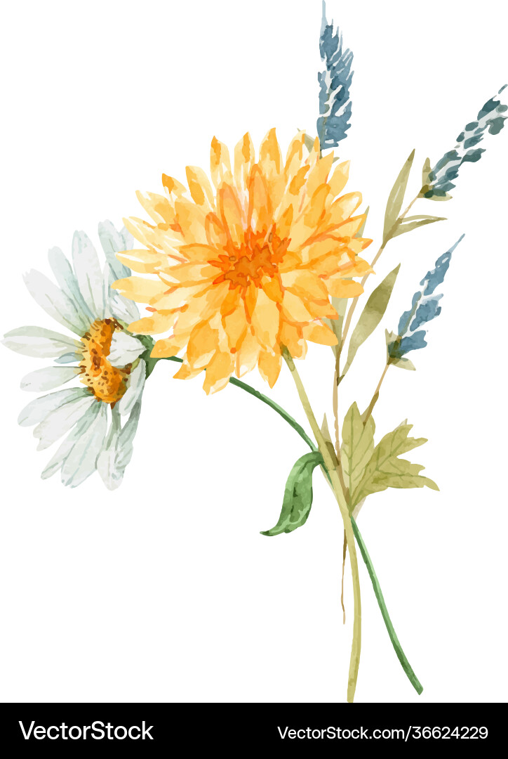 Delicate bouquet with yellow and white flower Delicate bouquet with yellow and white flower vector image