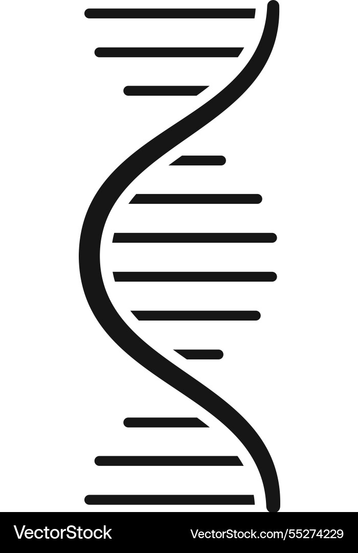 Dna structure forming a double helix showing Dna structure forming a double helix showing vector image