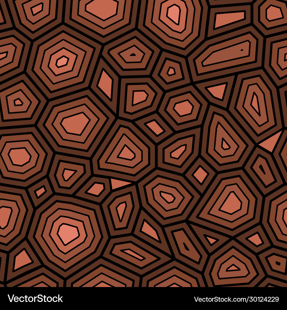 Ornate Turtle Shell Pattern Vector Image