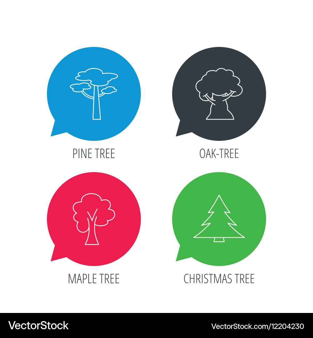 Pine tree maple and oak-tree icons vector image